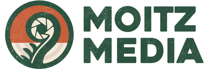moitz.media